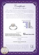 product certificate: FW-W-AAAA-67-R-Joy