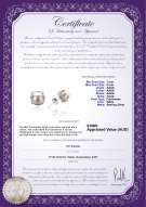 product certificate: FW-W-AAAA-78-E-Britt