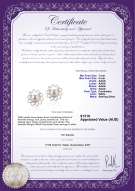 product certificate: FW-W-AAAA-78-E-Morgan