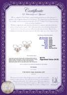 product certificate: FW-W-AAAA-89-E-Kayla