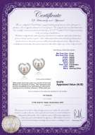 product certificate: FW-W-AAAA-89-E-Kimberly