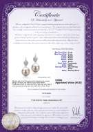 product certificate: FW-W-AAAA-89-E-Leaf