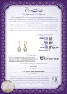 product certificate: FW-W-AAAA-89-E-Sparkle