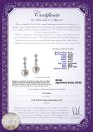 product certificate: FW-W-AAAA-910-E-Rozene
