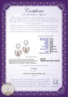 product certificate: FW-W-AAAA-910-E-Shellry