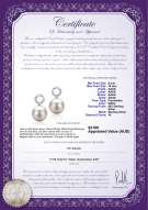 product certificate: FW-W-AAAA-910-E-Shellry