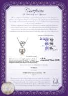 product certificate: FW-W-AAAA-910-P-Adelina