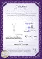 product certificate: FW-W-AAAA-910-P-Courtney
