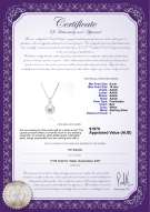 product certificate: FW-W-AAAA-910-P-Lauren