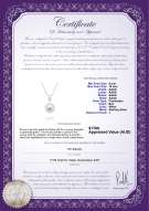 product certificate: FW-W-AAAA-910-P-Nicole