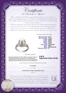 product certificate: FW-W-AAAA-910-R-Royisal
