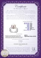 product certificate: FW-W-AAAA-910-R-Zana