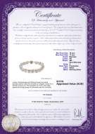 product certificate: FW-W-BAR-1011-B