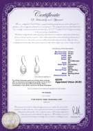 product certificate: FW-W-EDS-1516-Baroque-E