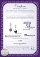 product certificate: JAK-B-AA-78-E-Colleen