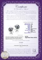 product certificate: JAK-B-AA-78-E-Gilda