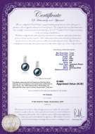 product certificate: JAK-B-AA-78-E-Valery