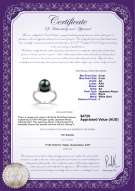 product certificate: JAK-B-AA-89-R-Sarah