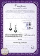 product certificate: JAK-B-AAA-89-E-Rozene