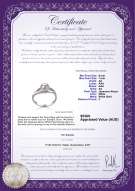 product certificate: JAK-W-AA-67-R-Tanya