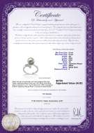 product certificate: JAK-W-AA-89-R-Grace
