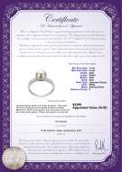 product certificate: JAK-W-AAA-78-R-Marian