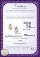 product certificate: JAK-W-AAA-89-E-Anastasia
