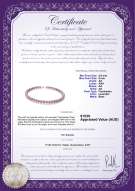 product certificate: P-AA-89-N-OLAV