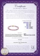 product certificate: P-AAA-67-B-OLAV