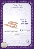 product certificate: P-AAA-67-N-DBL