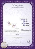 product certificate: P-AAAA-78-E-OLAV