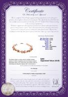 product certificate: P-F-48-N-Illusion