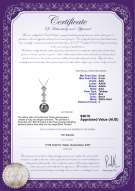 product certificate: SALT-PEND-010