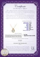 product certificate: SS-W-AAA-1011-P-Angelique