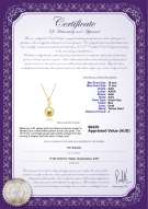 product certificate: SSEA-G-AAA-1011-P-Gisela