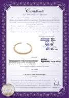 product certificate: SSEA-G-N-C303