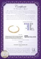 product certificate: SSEA-G-N-C304
