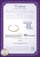 product certificate: SSEA-G-N-C305