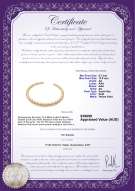 product certificate: SSEA-G-N-C309
