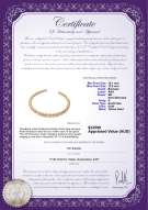 product certificate: SSEA-G-N-C311