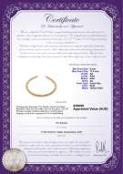 product certificate: SSEA-G-N-C318