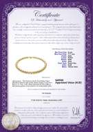 product certificate: SSEA-G-N-Q211