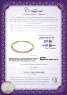 product certificate: SSEA-G-N-Q213