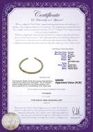 product certificate: SSEA-MULTI-N-C316