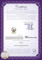 product certificate: SSEA-W-AAA-1011-L1