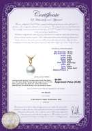 product certificate: SSEA-W-AAA-1011-P-Monica