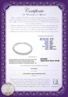 product certificate: SSEA-W-AAA-1417-N