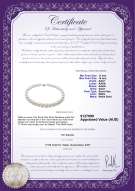 product certificate: SSEA-W-AAA+-1114-N