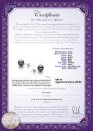 product certificate: TAH-89-E