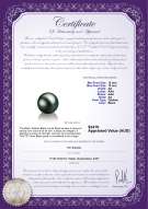 product certificate: TAH-B-AA-1213-L1